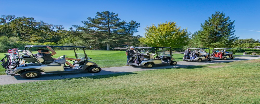 golf cart battery